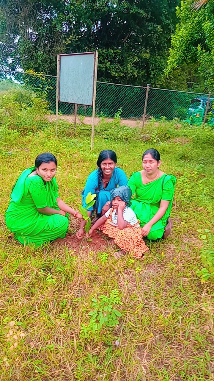 பசுமையை முன்னெடுக்கும் முகமாக பயன் தரும் மரக்கன்றுகள் நாட்டப்பட்டது Helping